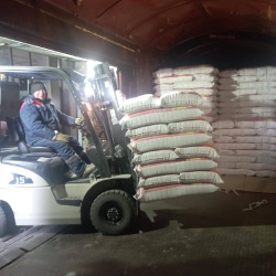 5334845515239197689 (1)