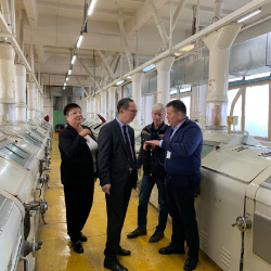 image-31-10-25-07-20 (1)